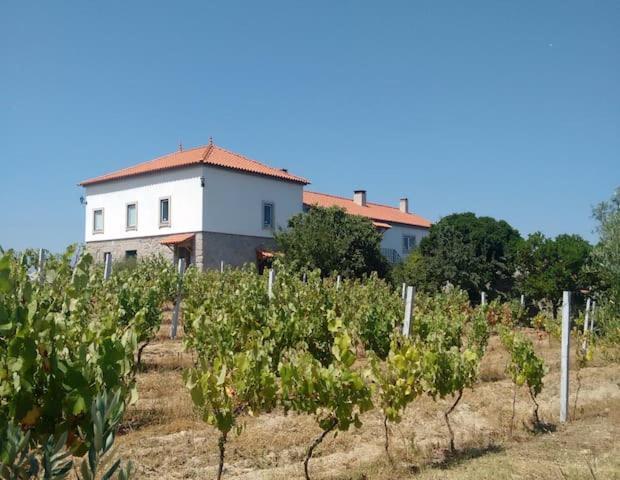 Quinta De Vodra Villa Seia Eksteriør billede