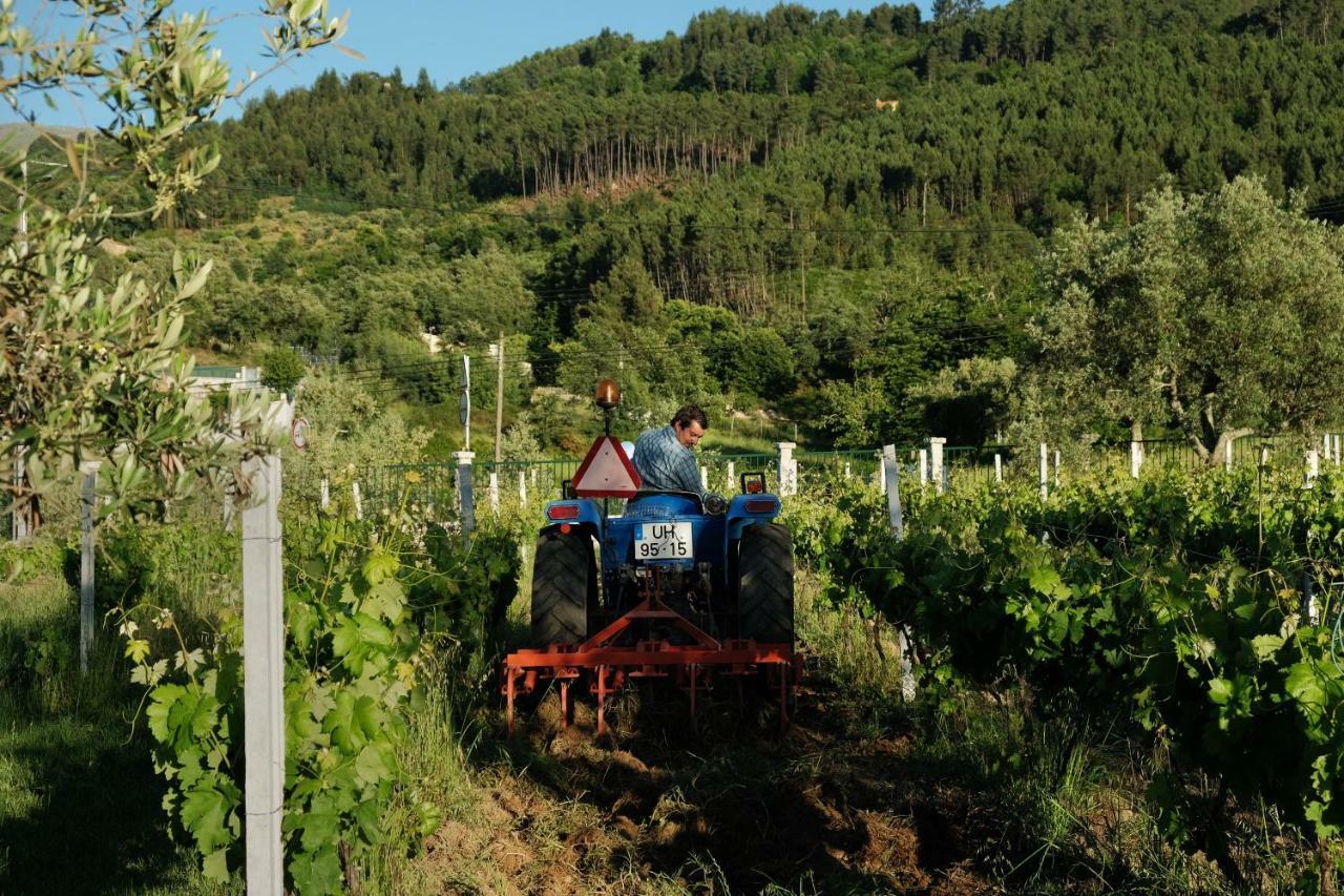 Quinta De Vodra Villa Seia Eksteriør billede